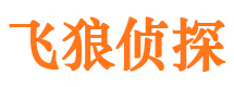 屏山市场调查